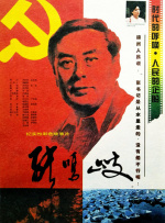 久久久久精品视频